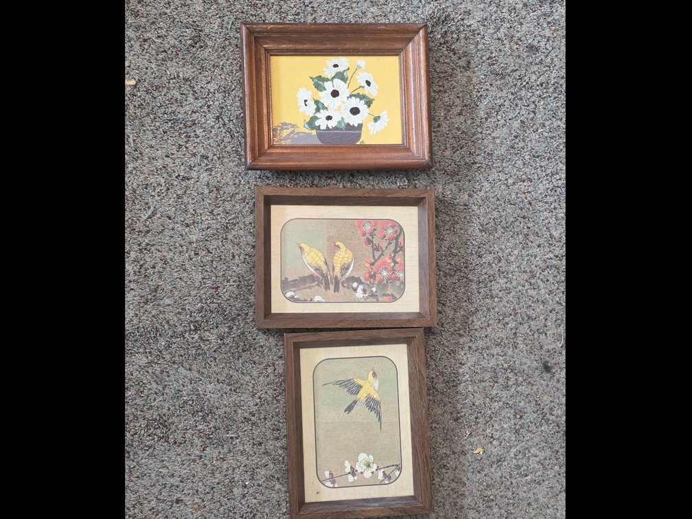 Birds and Flower Pictures