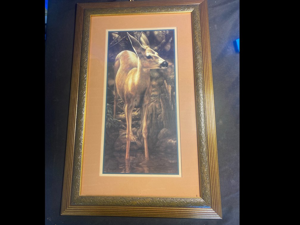 Mule Deer Doe Framed Picture