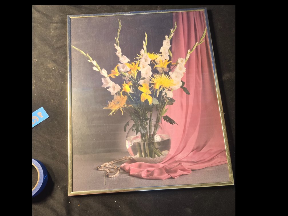 Gladiola Picture