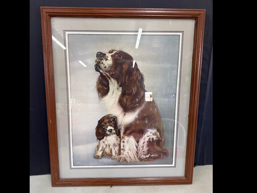 Lithograph Picture Of Mother Dog and Puppy Springer Spaniels
