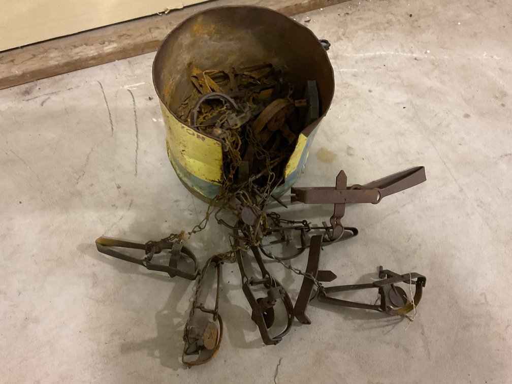 Metal Bucket Of Vintage Traps