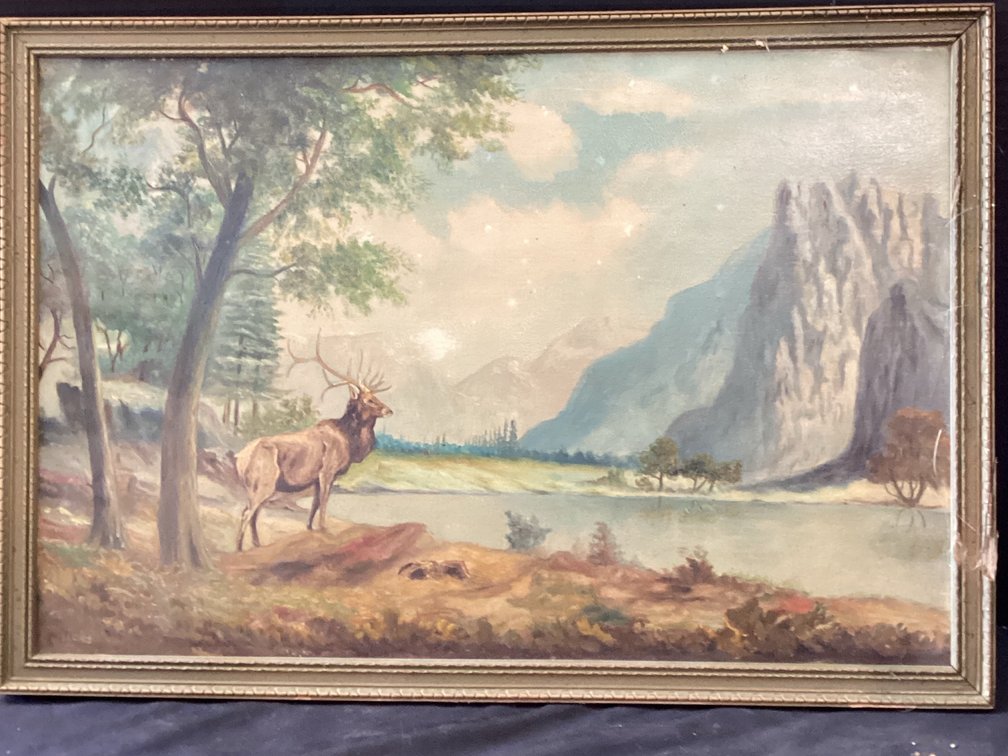 Elk Picture