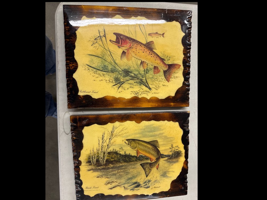 Wooden Frame Trout Pictures