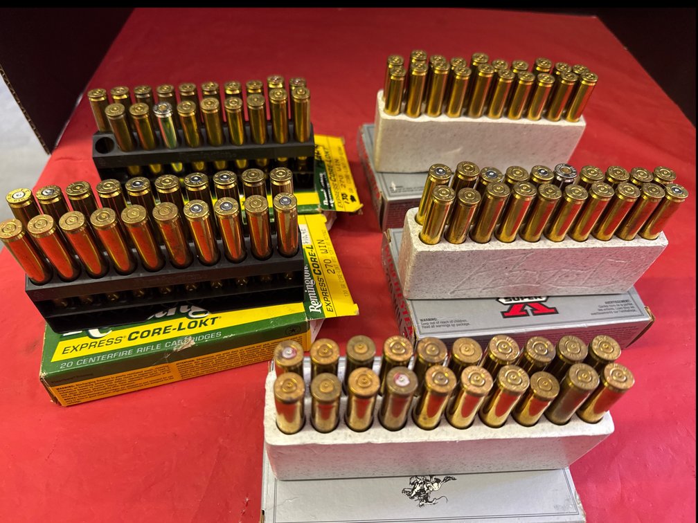 Empty Remington/Winchester 270 Brass Shells