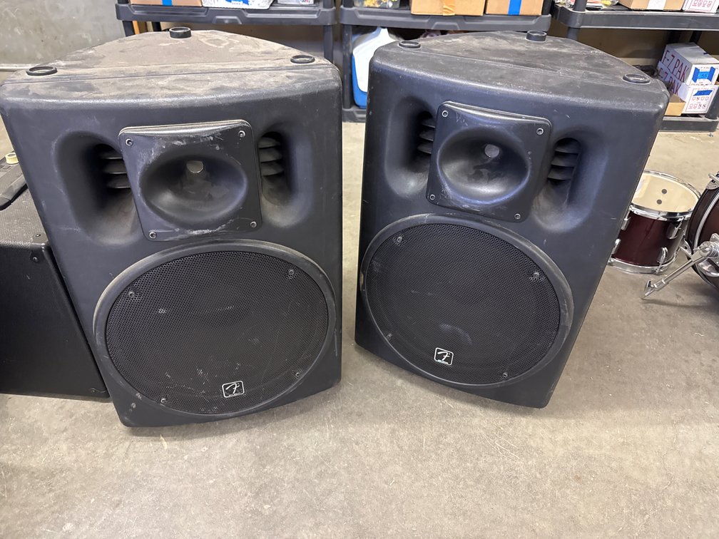 Fender Ace 2-Way PA Speakers