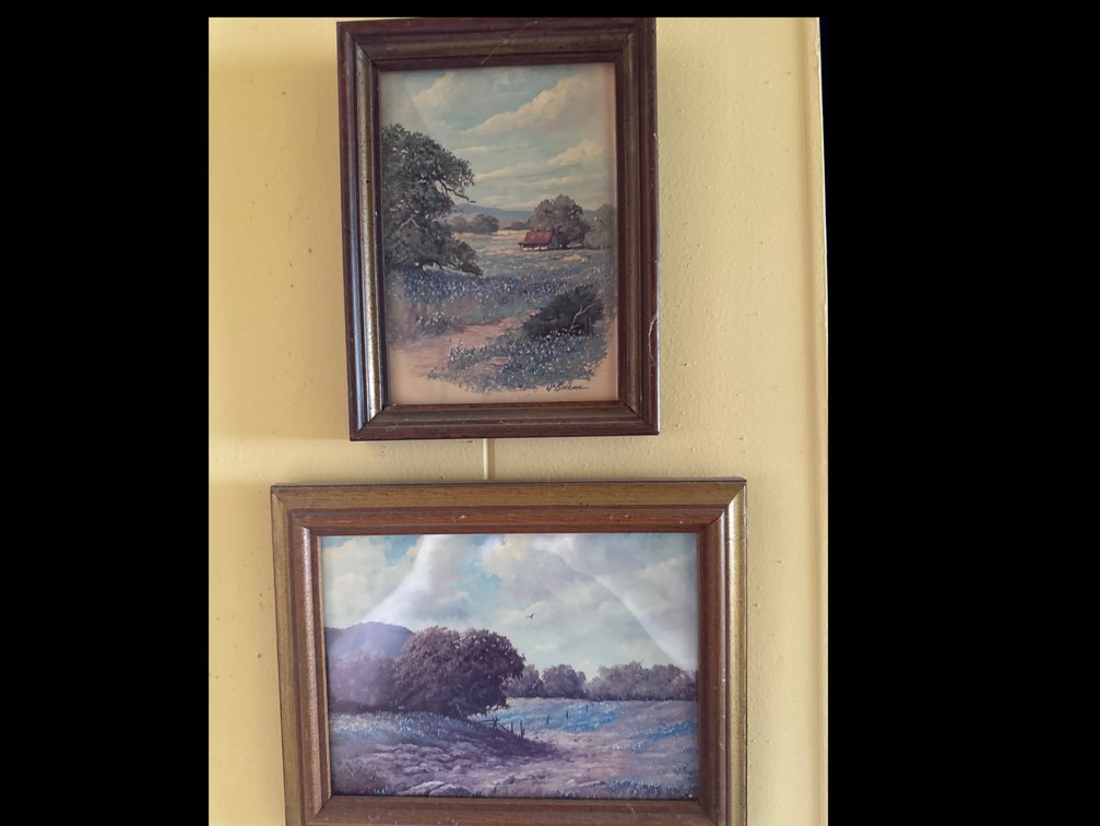 Landscape Pictures