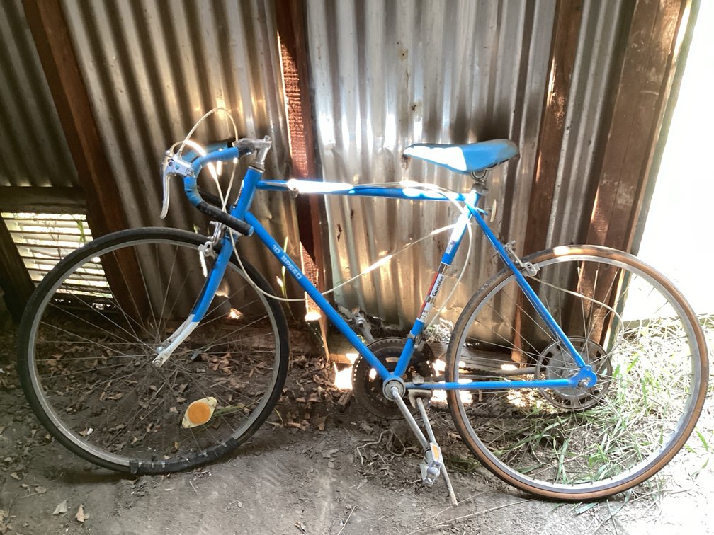 Hiawatha 10 Speed Bicycle