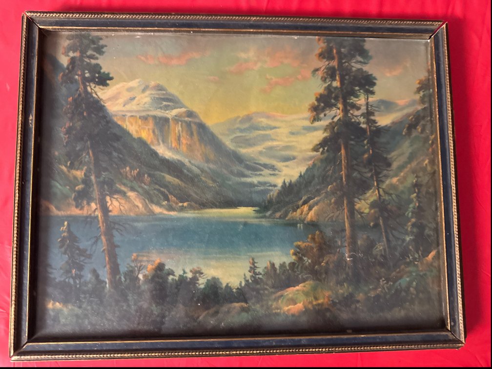 Lake View Picture