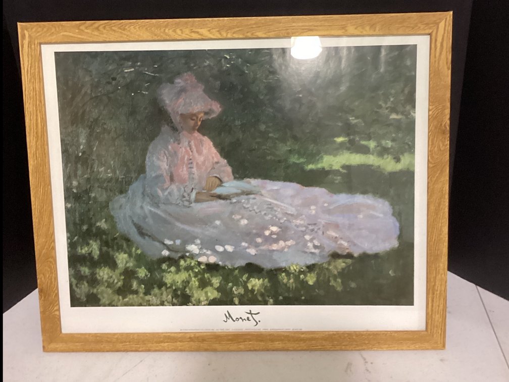Woman Reading a Book Picture