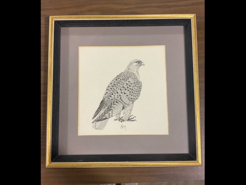 Hawk Graphic Drawing