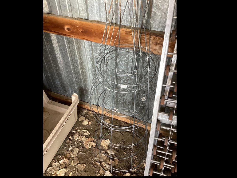 (5) Tomato Cages