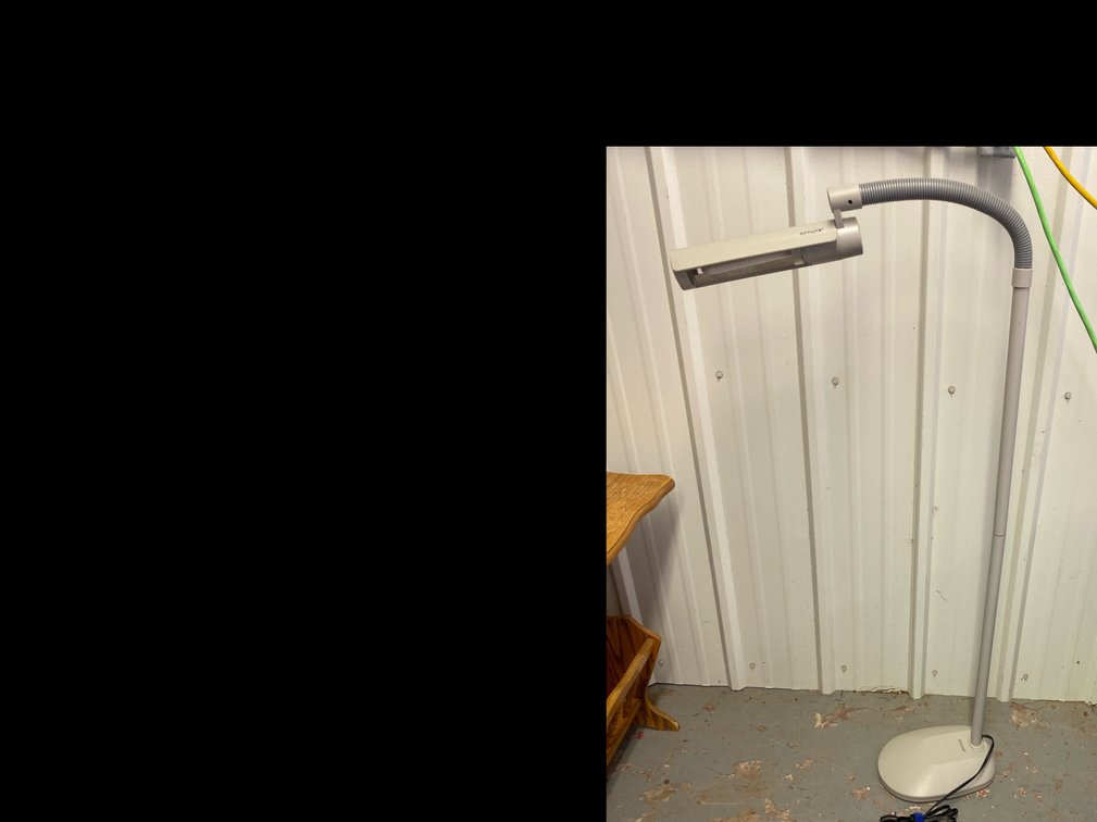 Ott-Lite Floor Lamp