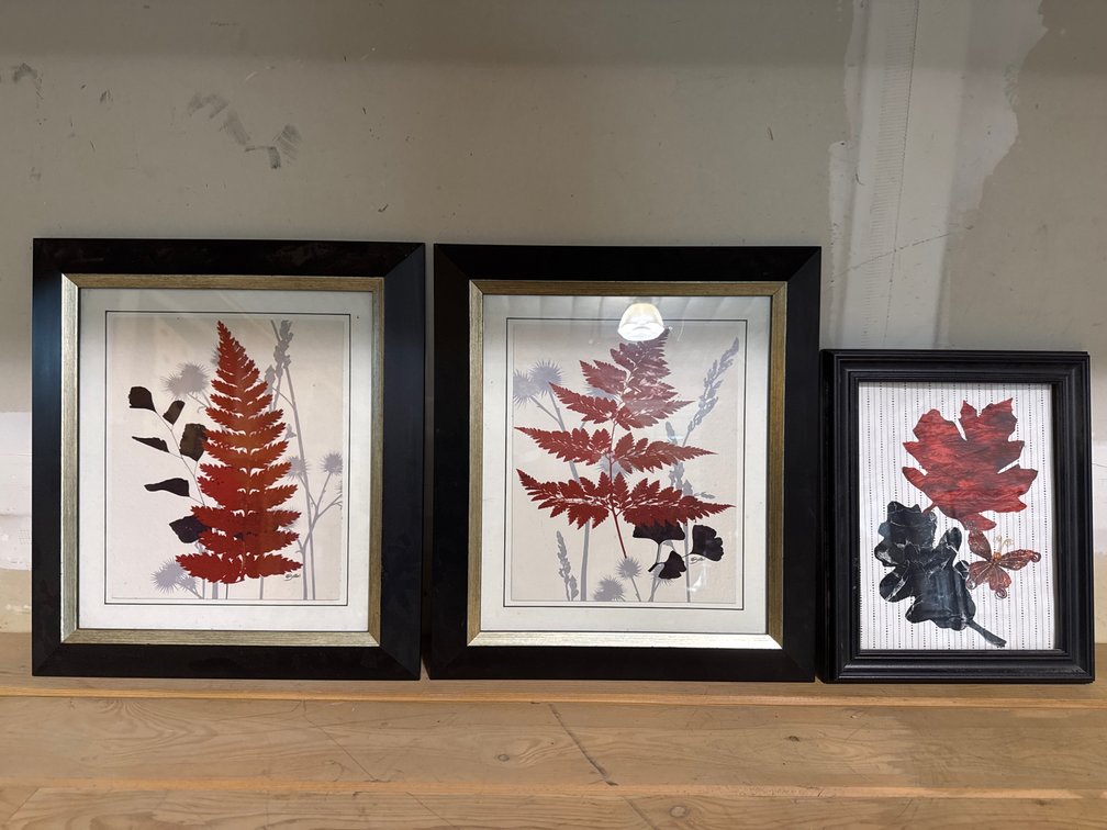 Botanical Art Pictures