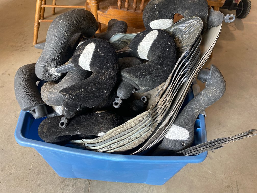 Canadian Goose Decoys
