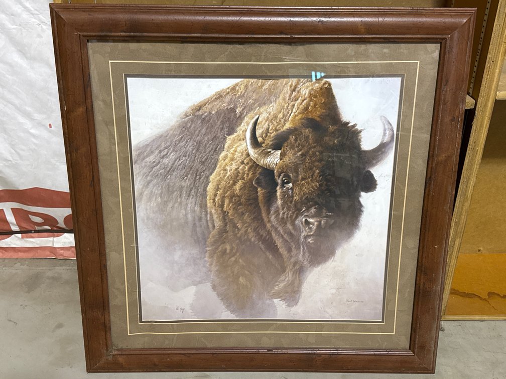 1997 Reproduction Print Of “Chief” An Iconic American Bison