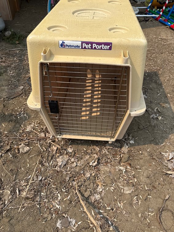 Large Pet Porter