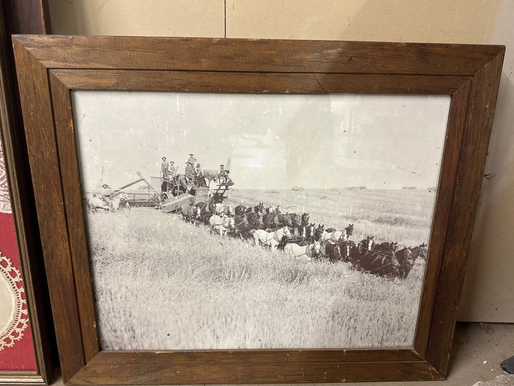 Black & White Farm Scene Of 1900s