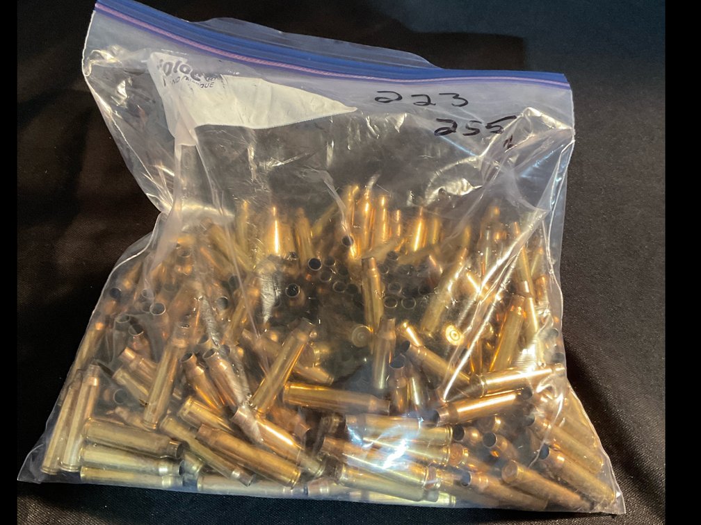 223 Brass Casings (255)