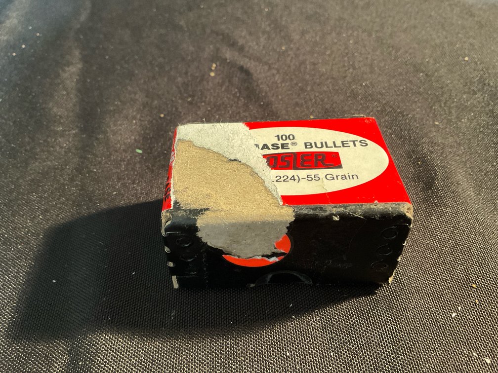 Nosler 22 Cal. .224” 55gr. Ballistic Tip Bullets (100)
