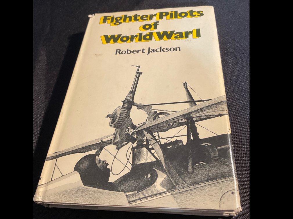 Fighter Pilots Of World War I by Robert Jackson
