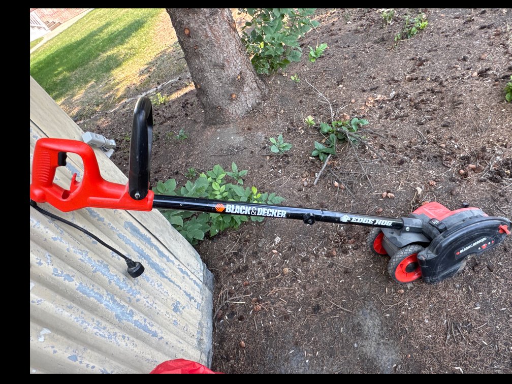 Electric Black & Decker Edge Hog