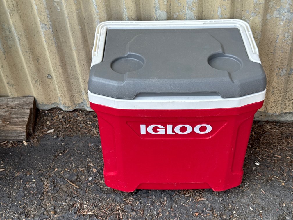 Igloo Cooler