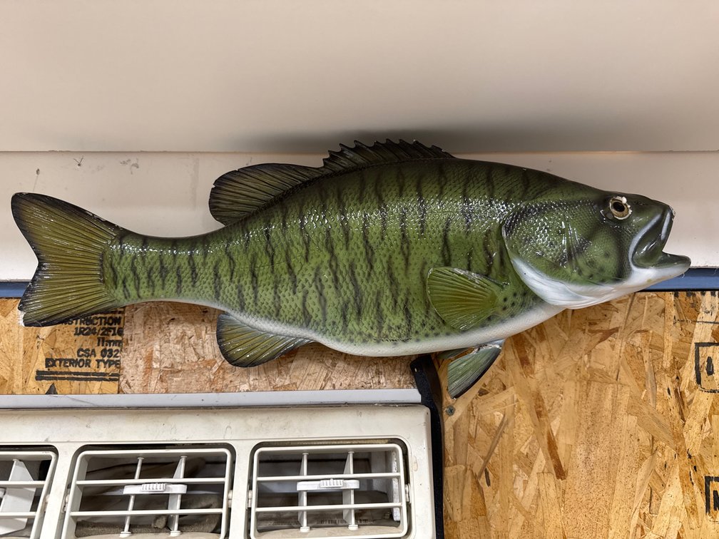 Small mouth Bass  Decor