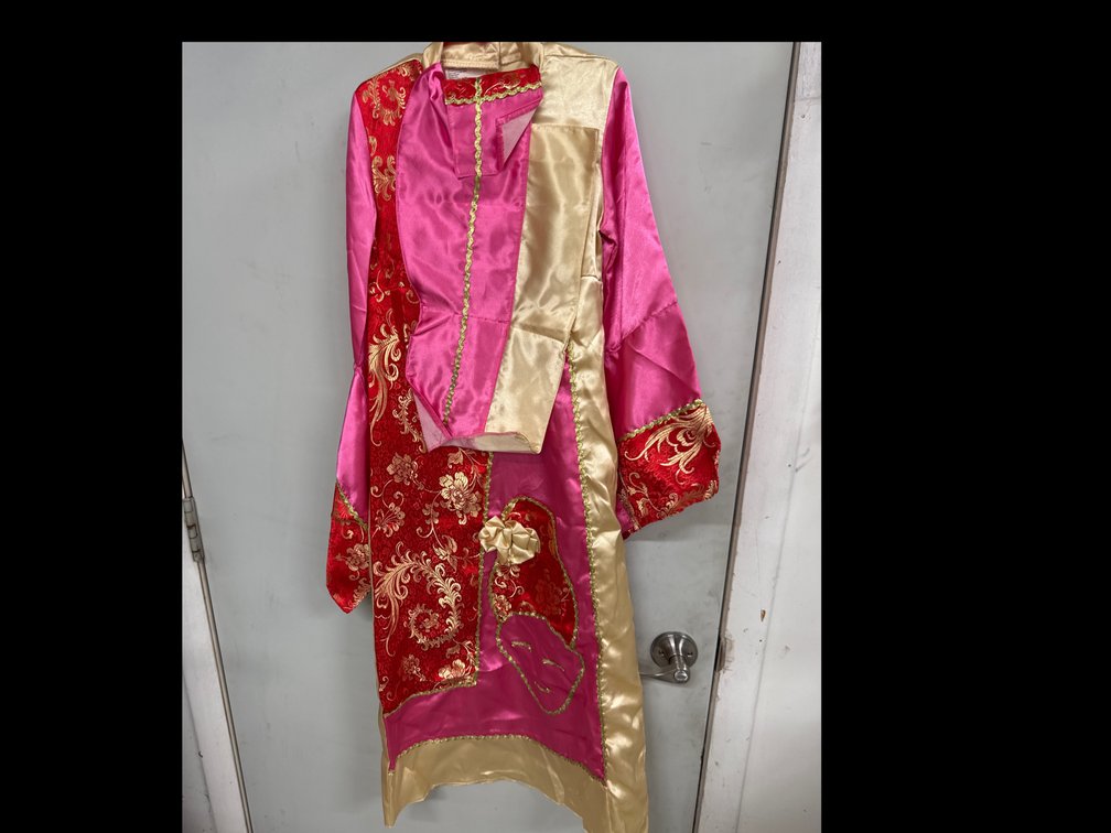 Asian Inspired Costume