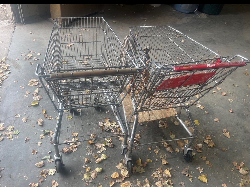 Kmart Shopping Carts
