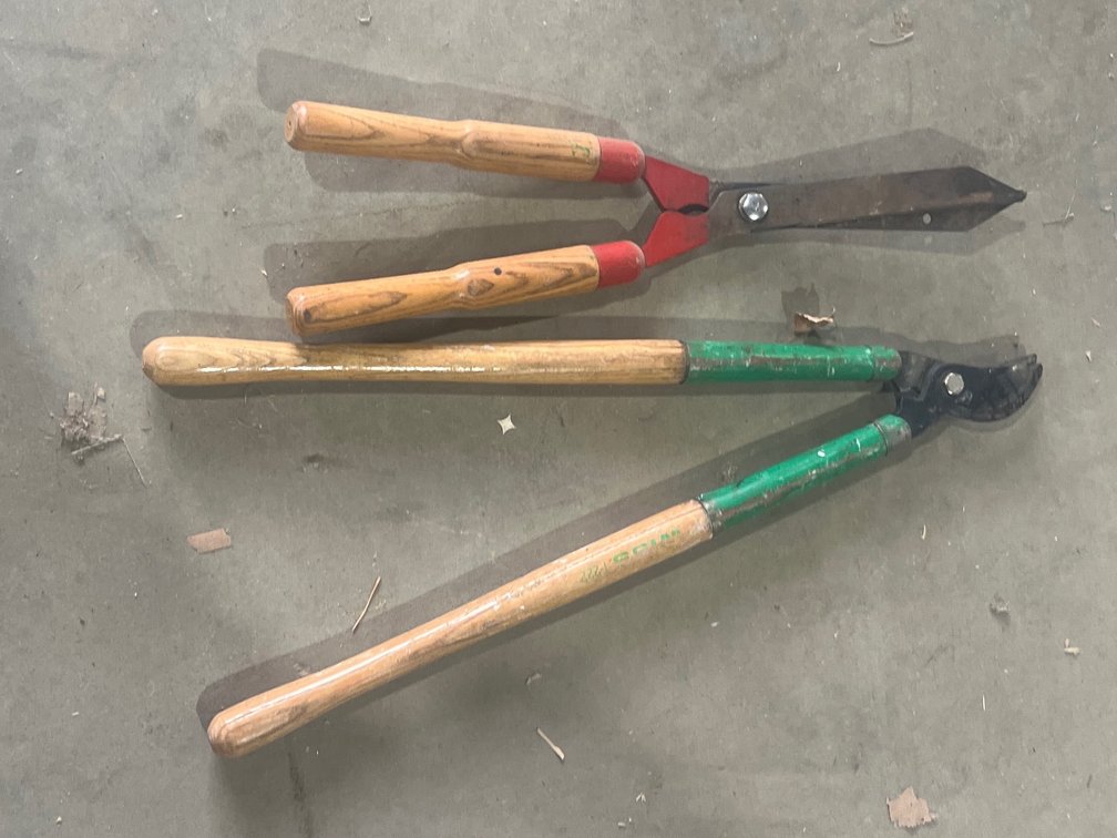 Tree Trimmers - Pruners