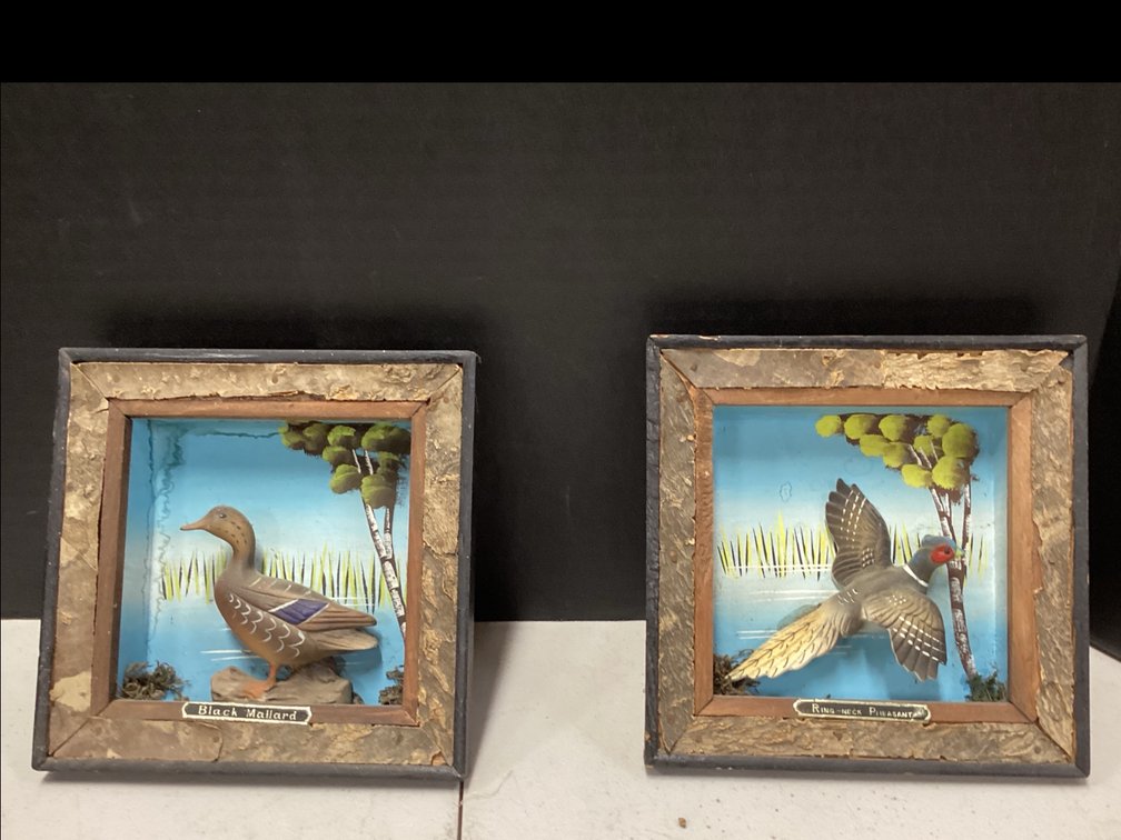 Vintage Enesco Made in Japan - Ring Neck Pheasant & Black Mallard Pictures