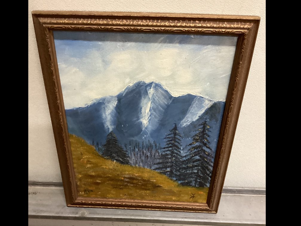 Framed Mountain Scene Original Oil Painting
