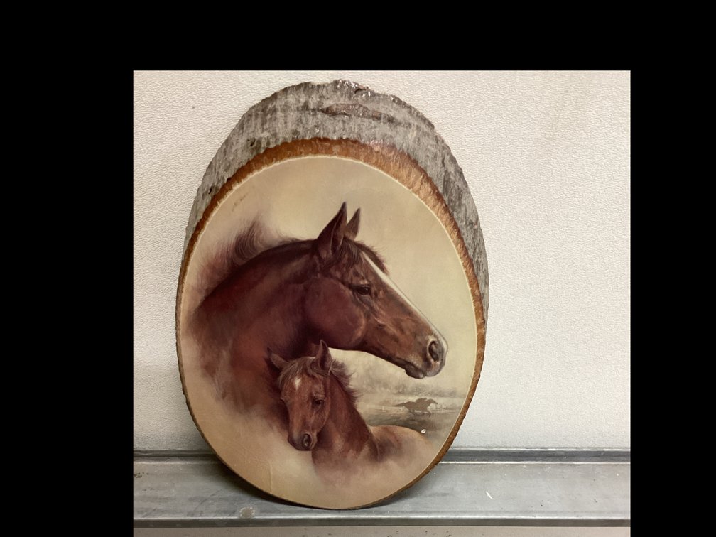 Wooden Log Slice Wall Plaque