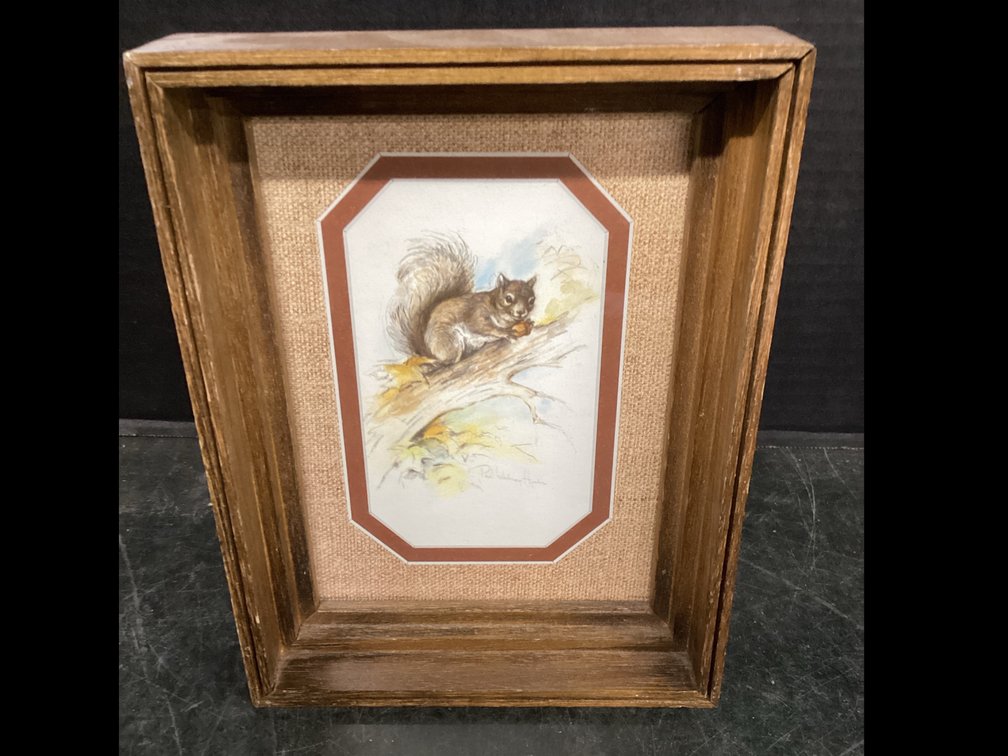 Wooden Framed Print “ Squirrel On Branch”