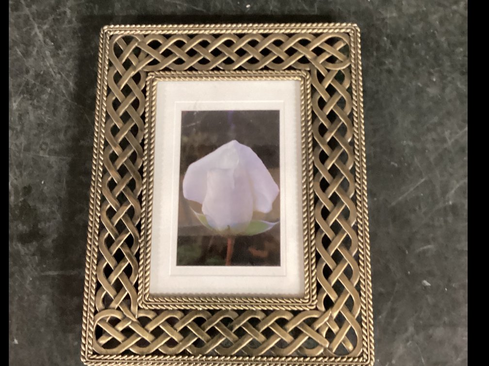 Photograph of an Unopened White Rose Bud