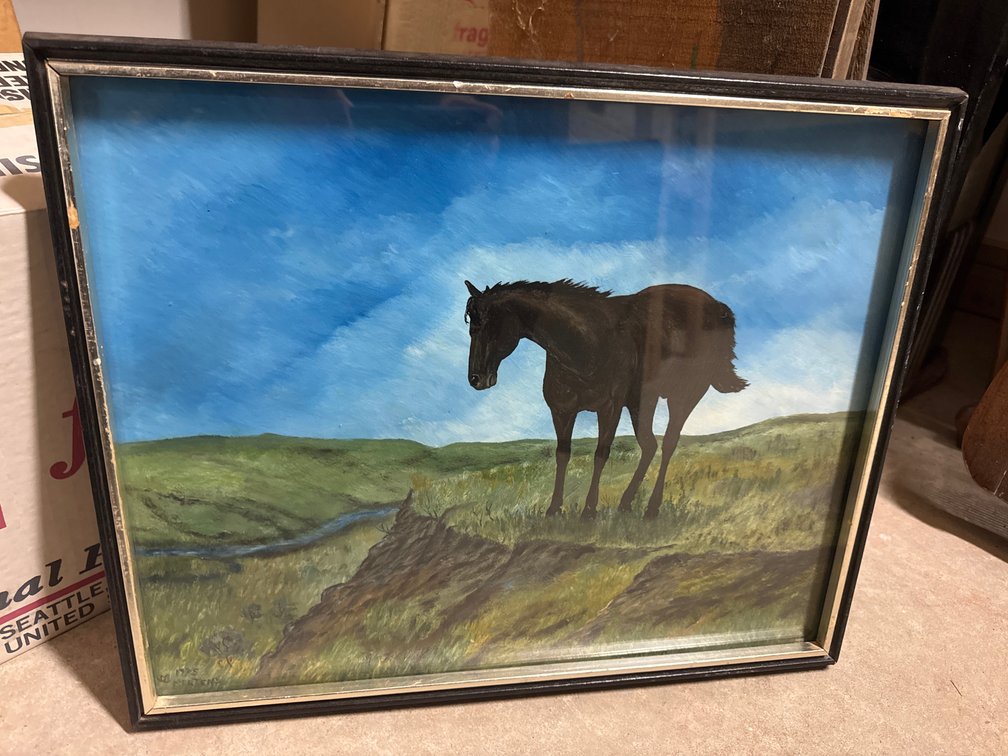 Silhouette Of A Horse Picture