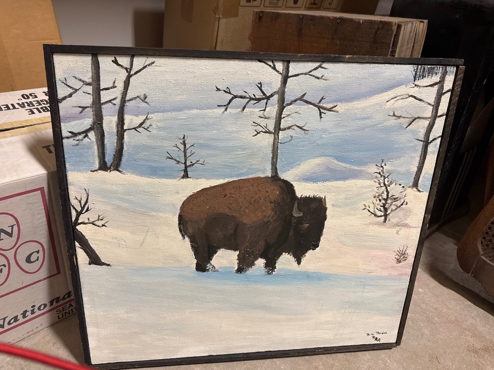 Buffalo Canvas Painting