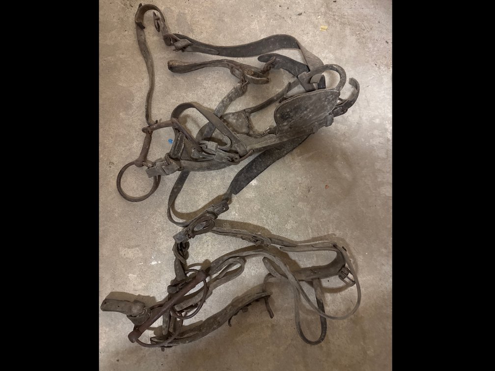 Horse Bridles