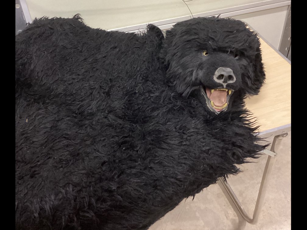 Bear Costume