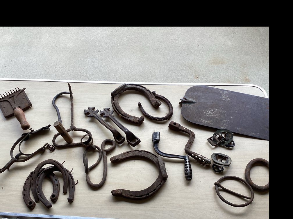 Horse Shoes, Buckles, hay hook