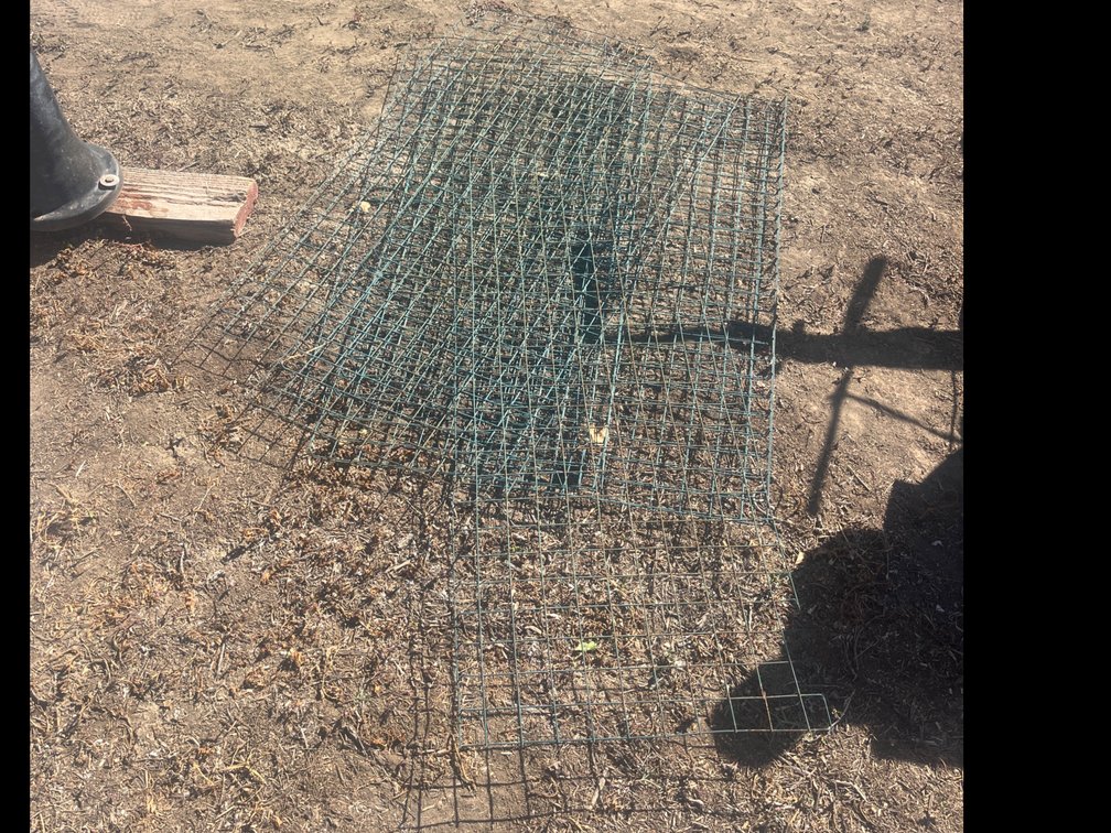 Wire Pannles