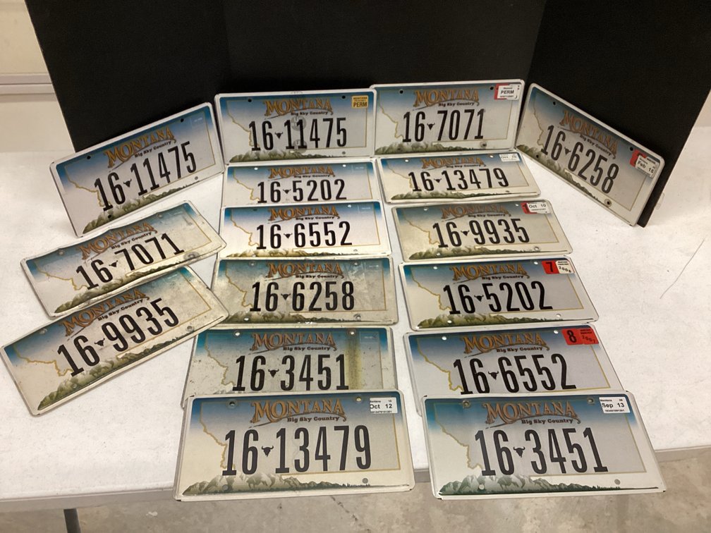 Montana Big Sky Country LicensePlates “16”