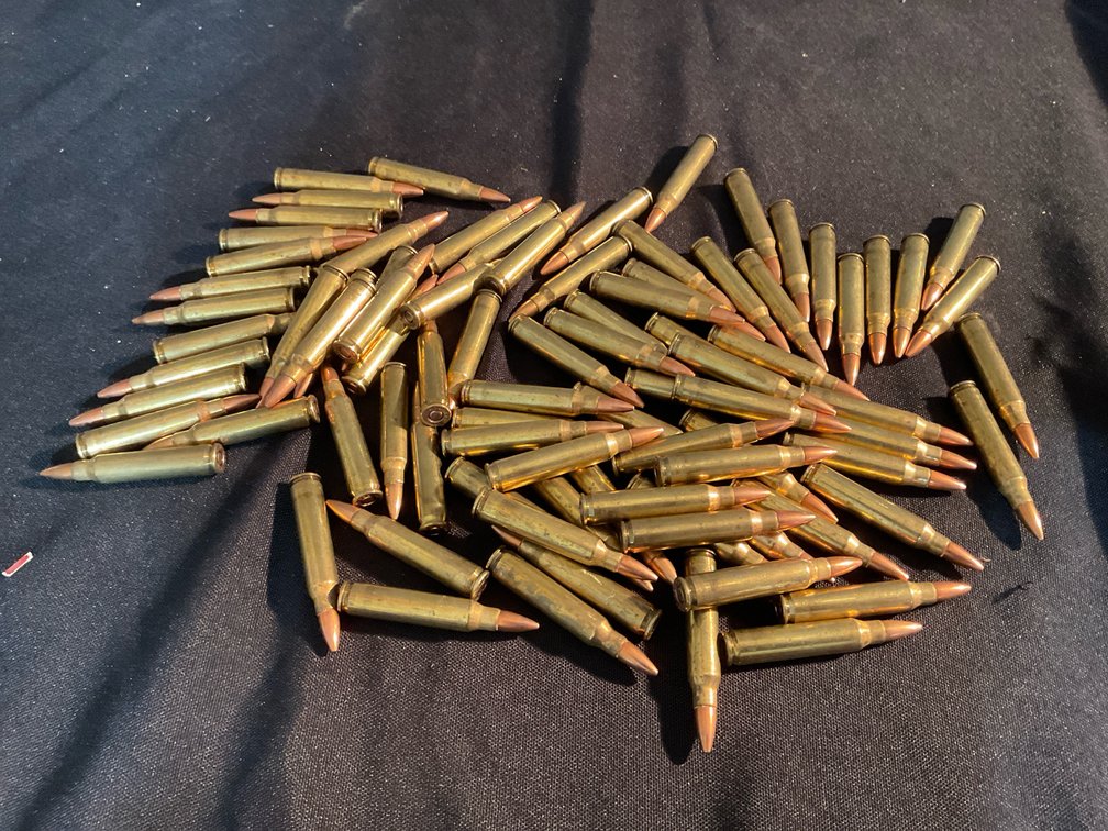 Assorted Brand 223 REM Ammo (90)