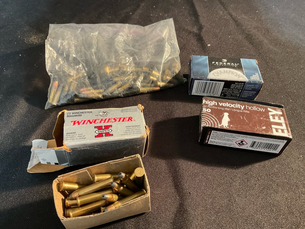Assorted 22 Ammo