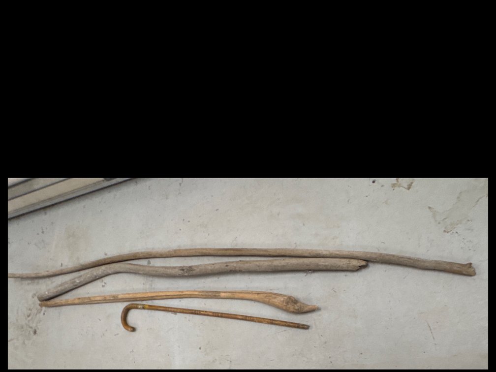 Hand Carved Cane and Drift Wood