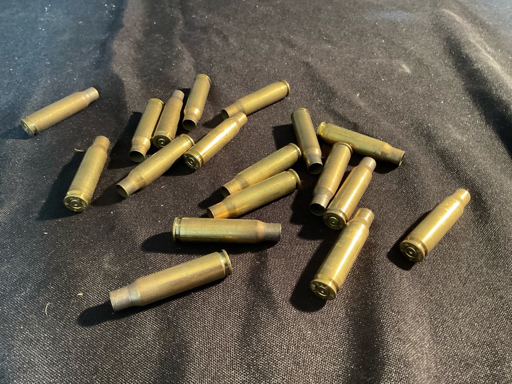 308 WIN Brass Casings (18)