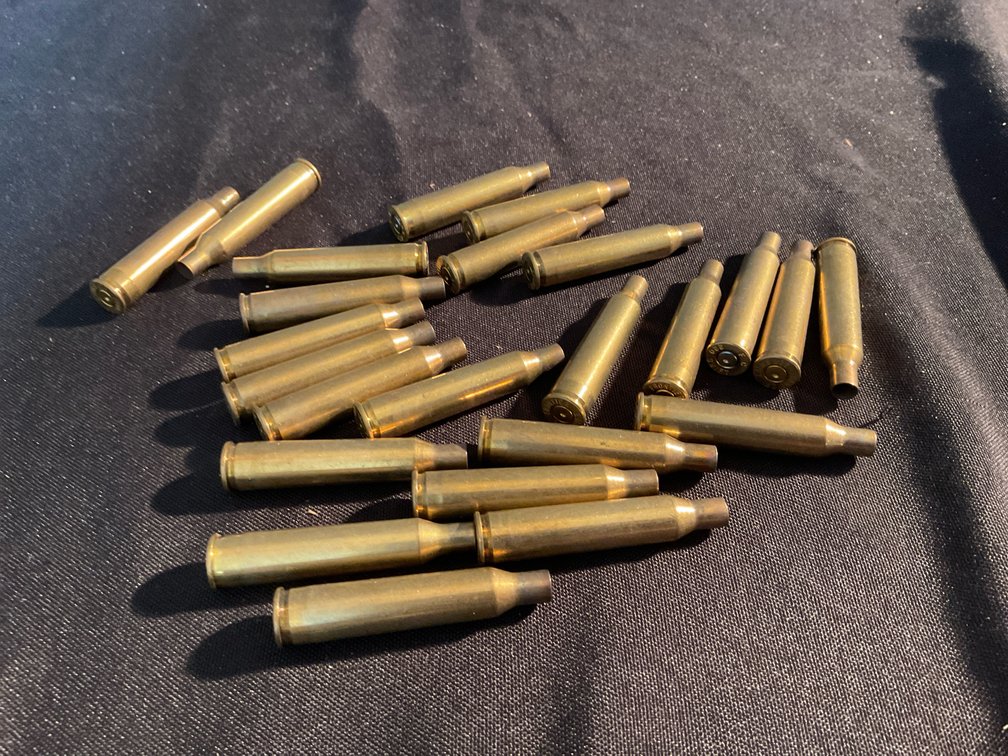 220 SWIFT Brass Casings (24)