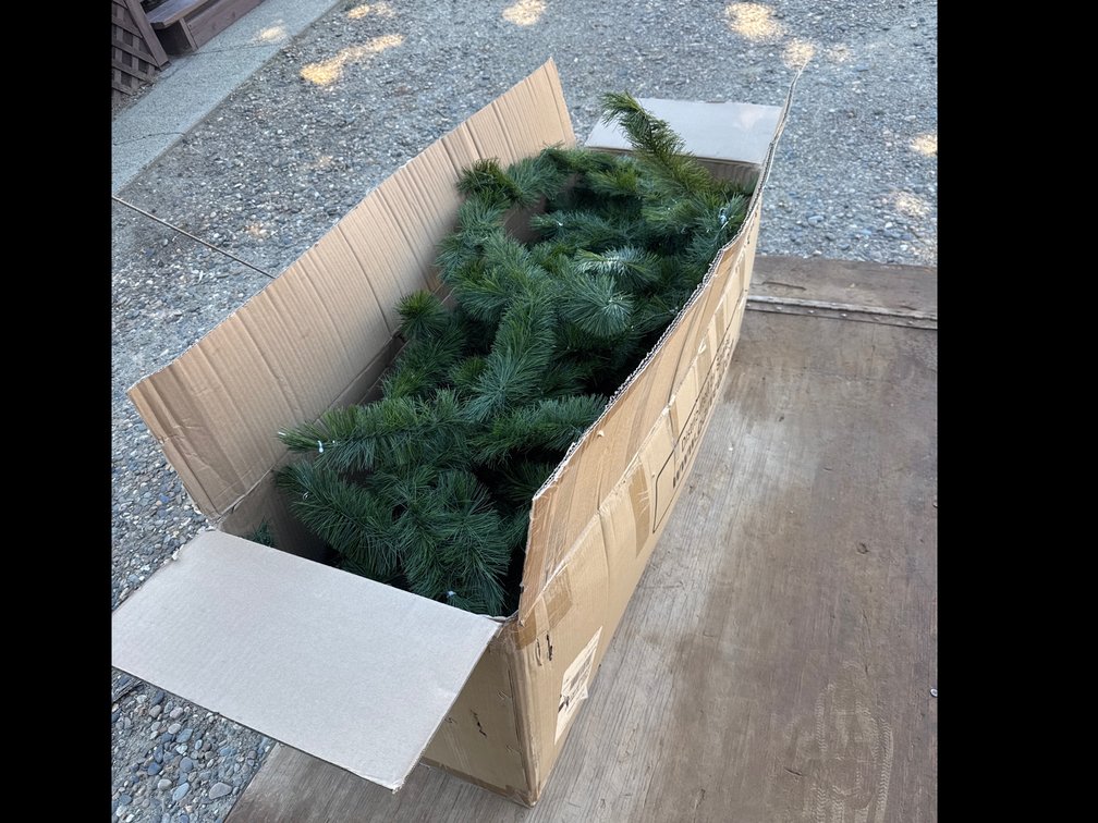 Christmas Boughs