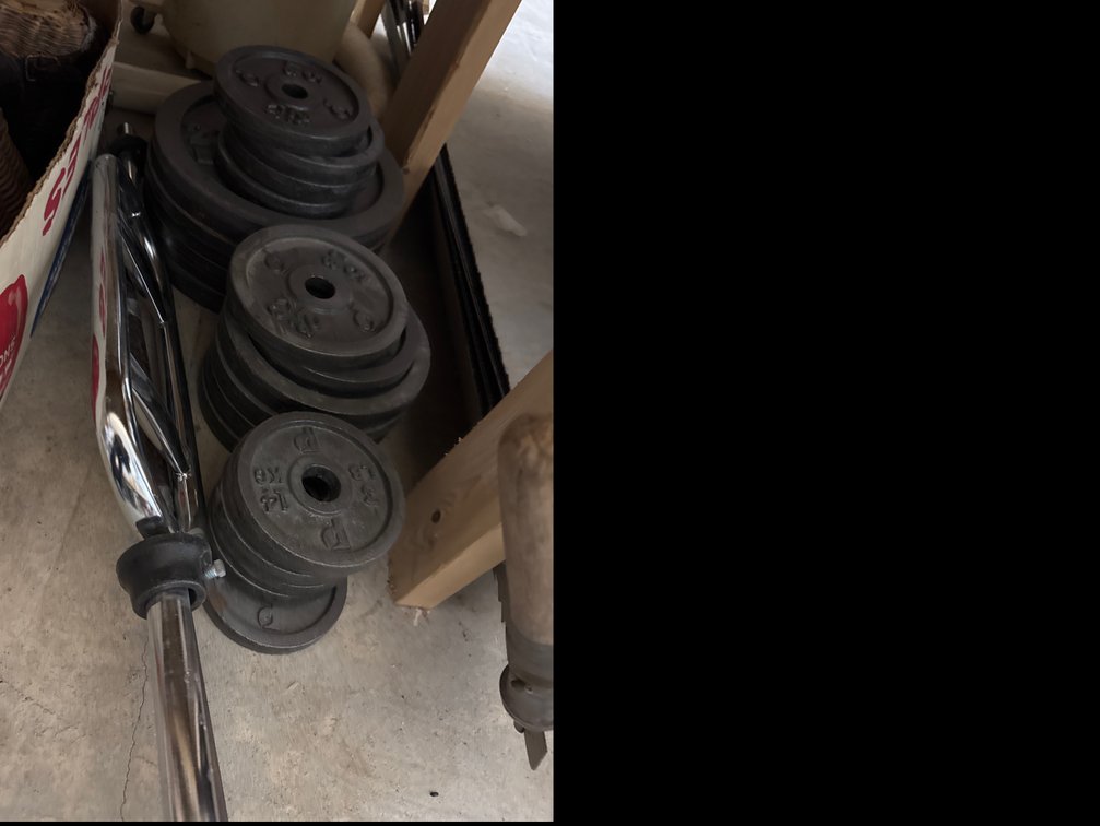 EZ Curl Barbell and Cast Iron Weights