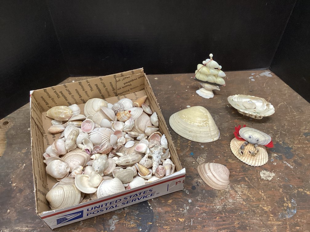 Sea Shells